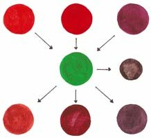 Analogous Complementary Paint Mixtures 