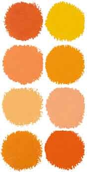 Orange Paint Swatches