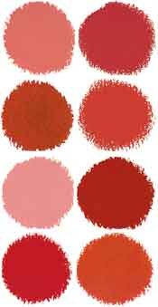 Red Paint Swatches