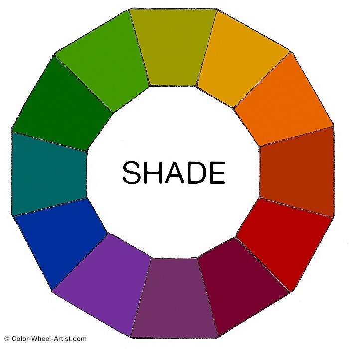 A color wheel showing the twelve hues as shades